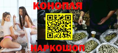 твердый Бийск